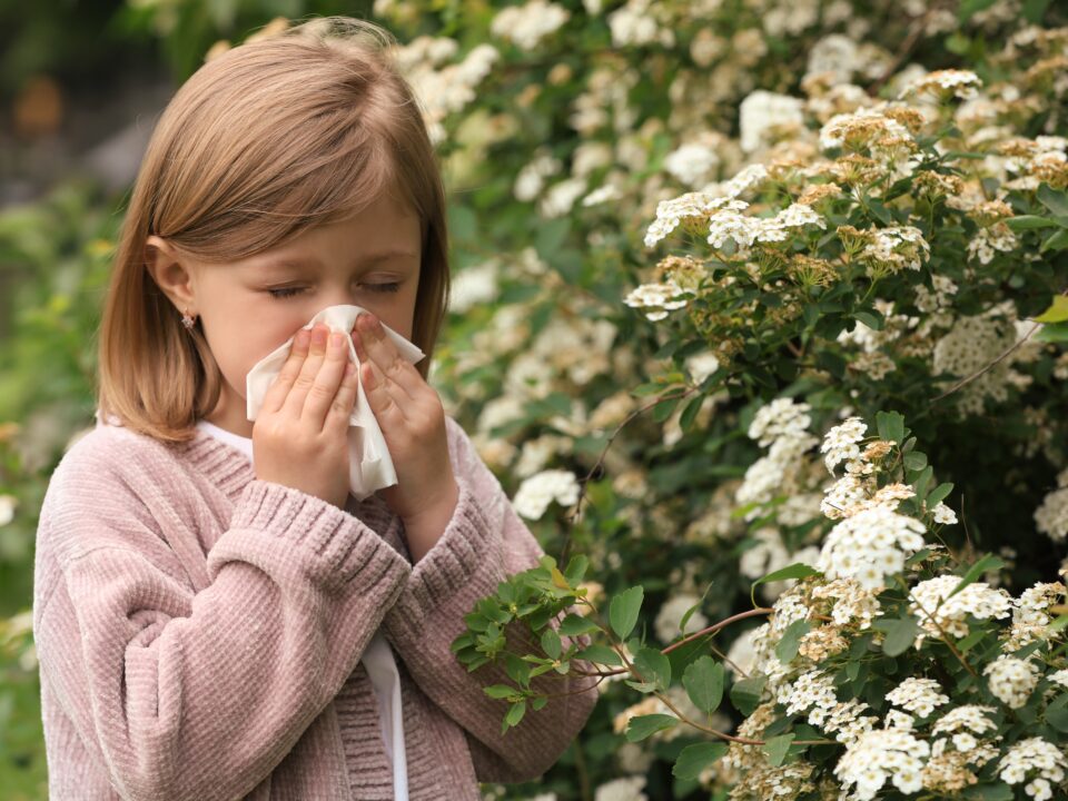 alergia na pyłki objawy